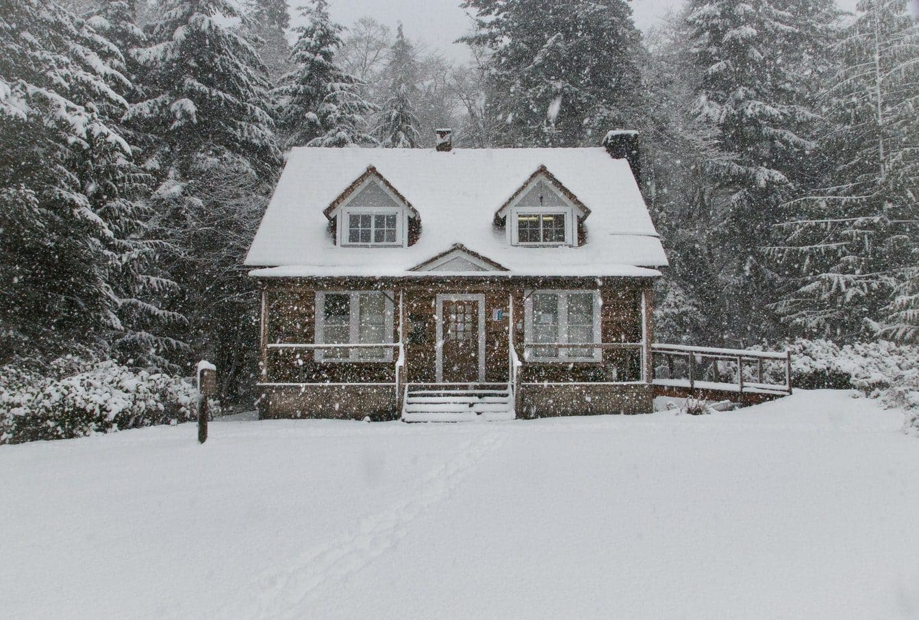 A small, brown house covered in snow, surrounded by snow-laden trees beneath a gray sky.
