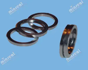 2090F-Dieform Metal rings on a blue background.