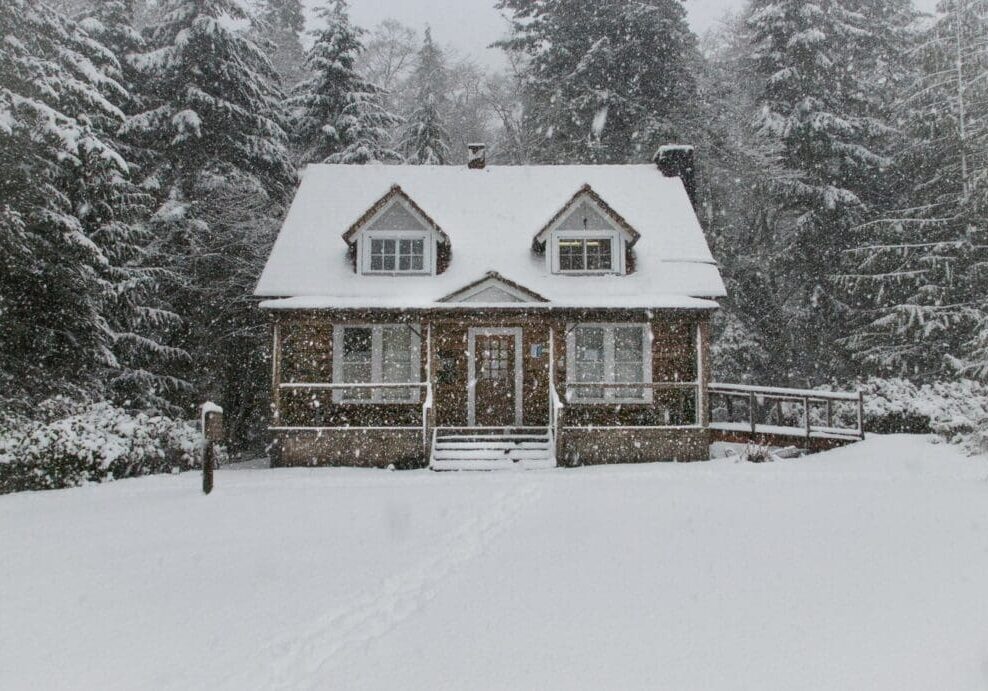 A small, brown house covered in snow, surrounded by snow-laden trees beneath a gray sky.